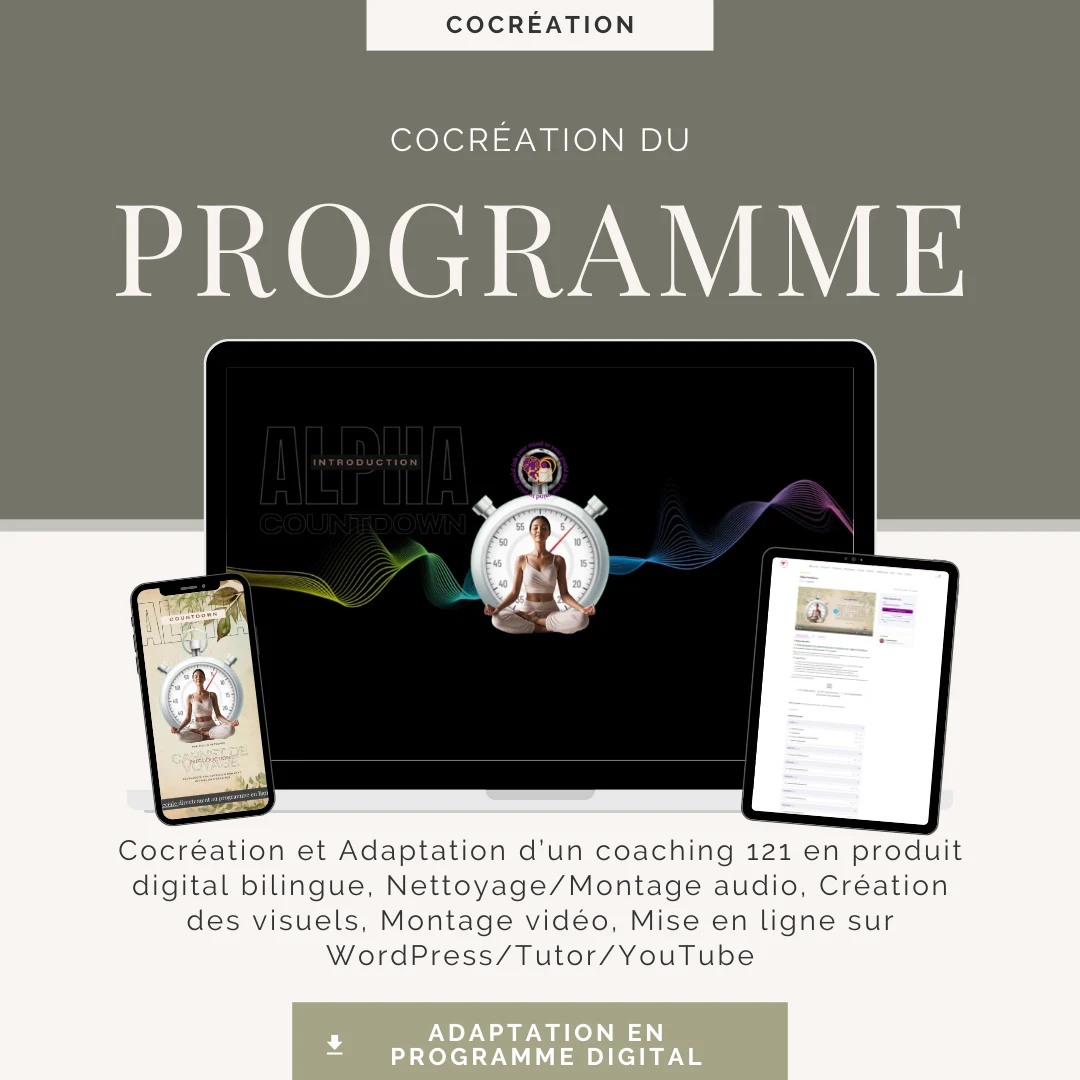 3 adaptation digitale NP