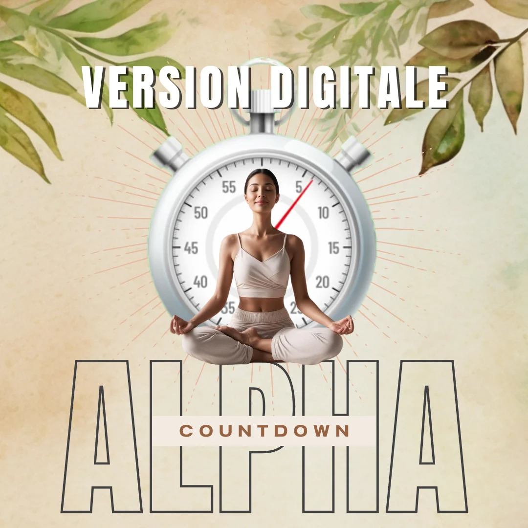 programme alpha digital2
